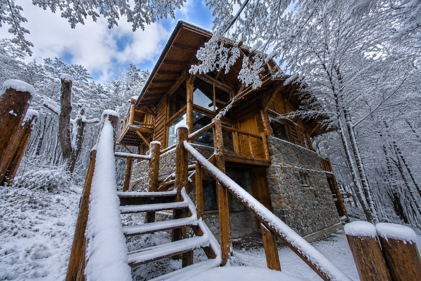 Suite Lodge