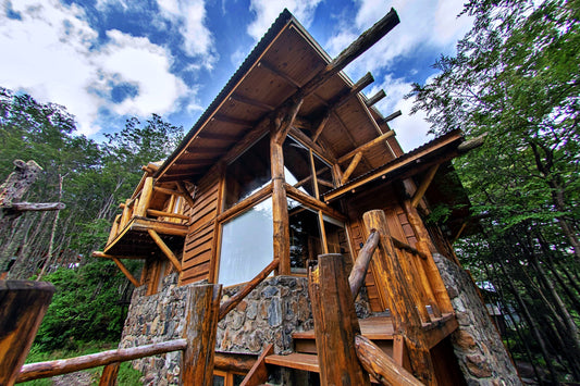 Suite Lodge